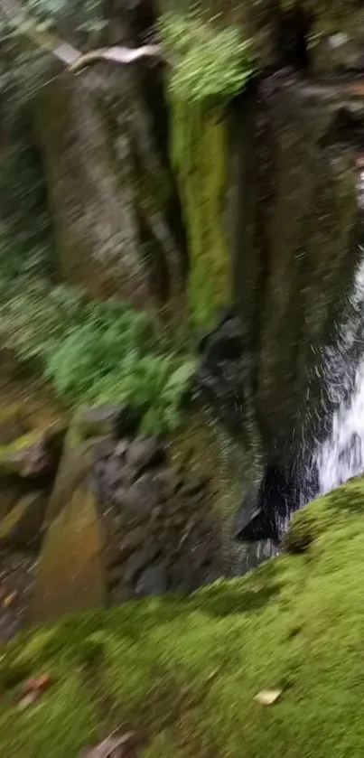 Serene forest waterfall with lush green moss covering rocks.