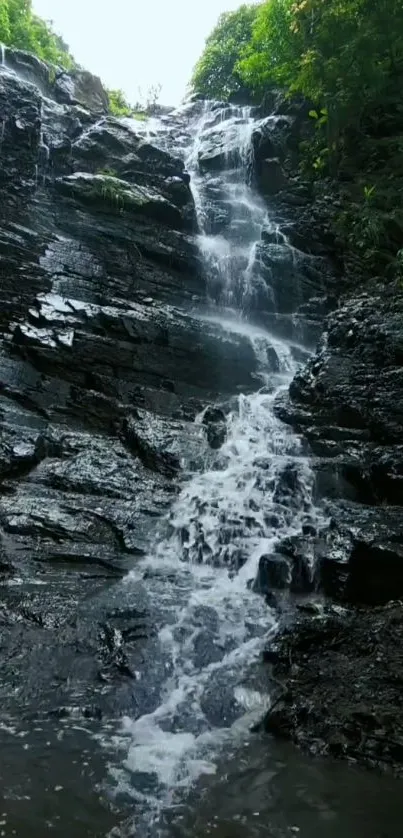 Mobile wallpaper of a serene forest waterfall cascading over rocks.