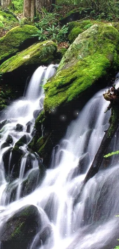 Lush green forest with cascading waterfall.