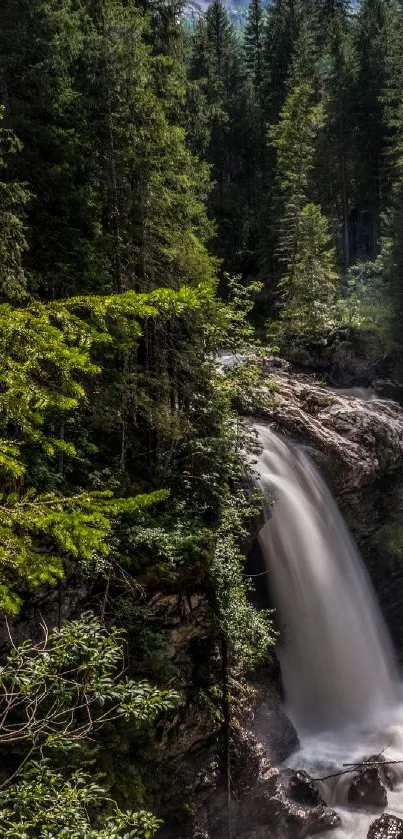 Scenic waterfall flowing through lush green forest landscape.