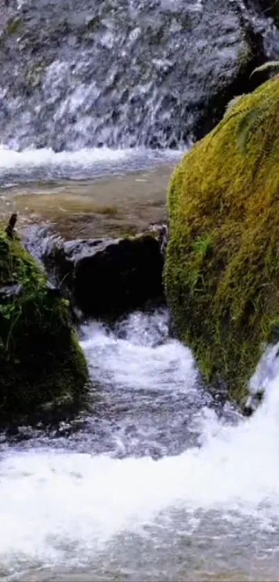 Waterfall with mossy rocks in a forest setting.