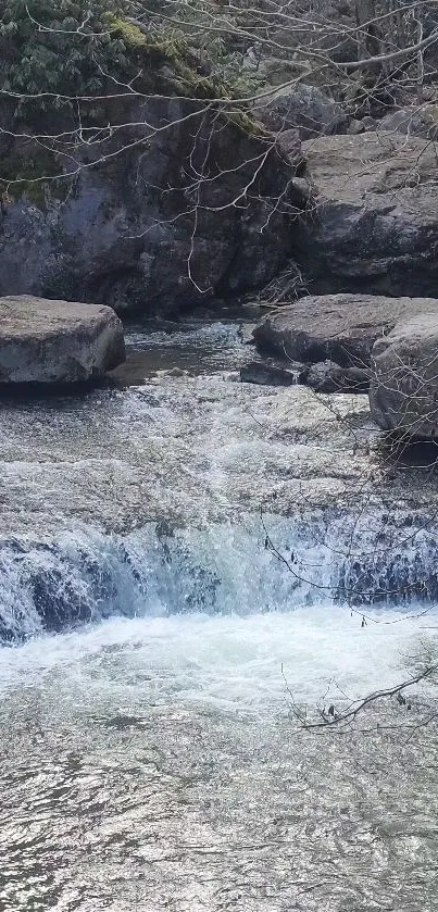 Serene forest waterfall with flowing stream over rocks.