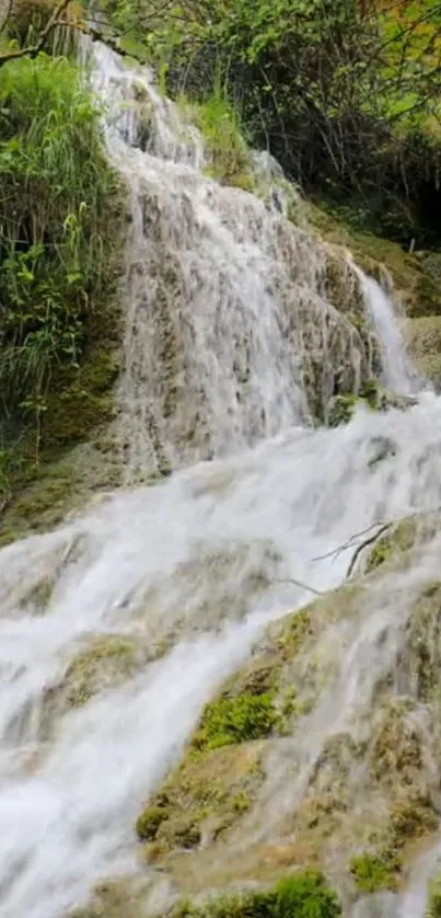 Serene waterfall cascading over moss-covered rocks in a lush forest.