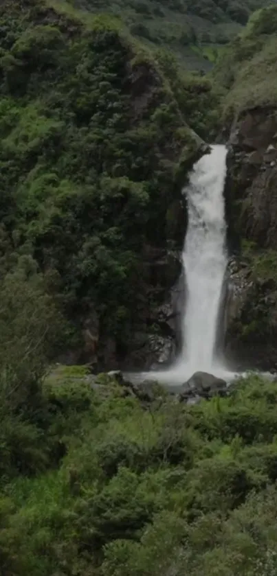 Serene waterfall cascading in a lush forest landscape.