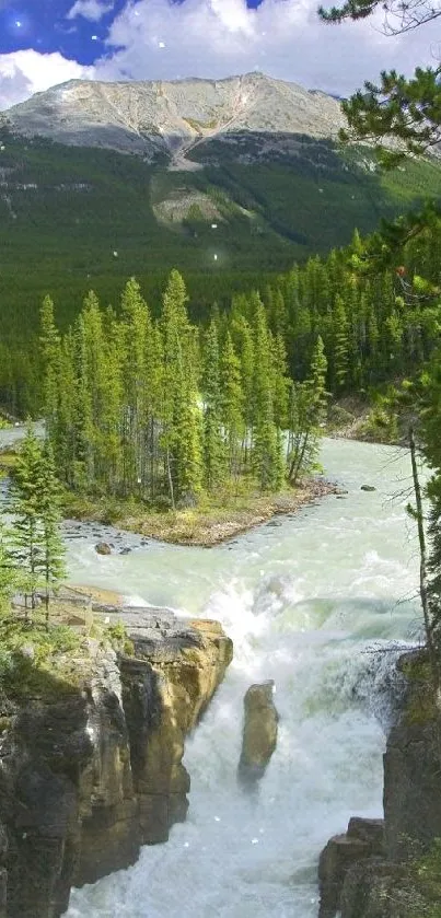 A scenic view of a forest waterfall with green trees and a blue sky.