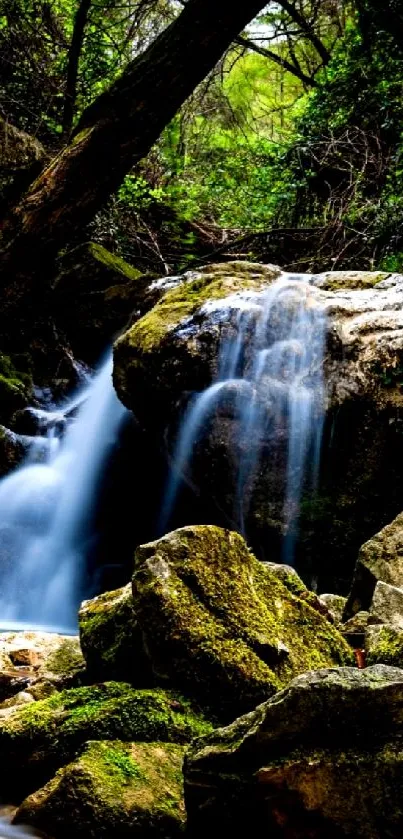 A serene waterfall flows through a lush green forest, creating a tranquil scene.