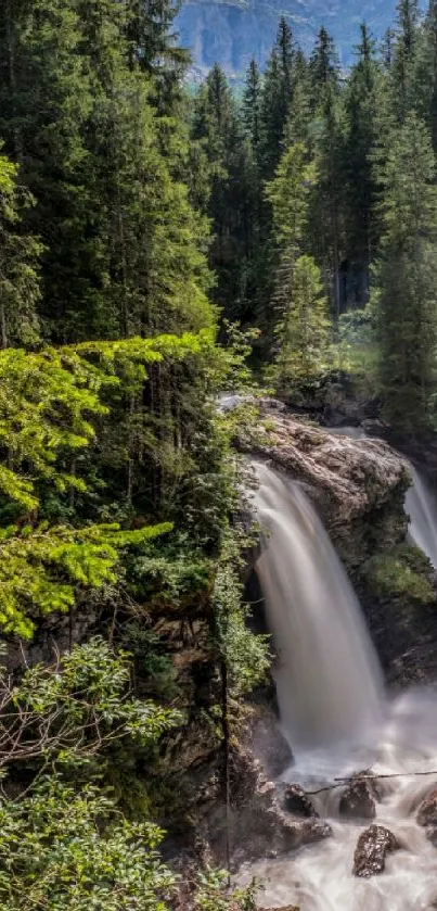 A serene waterfall in a lush forest setting, perfect for a calming mobile wallpaper.