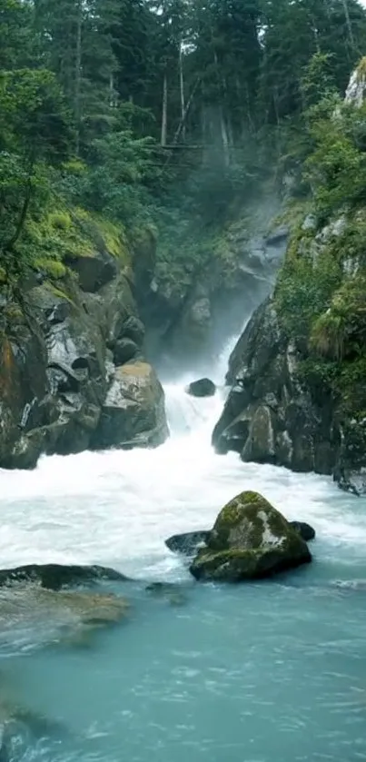 Nature wallpaper featuring a serene waterfall in a lush green forest setting.