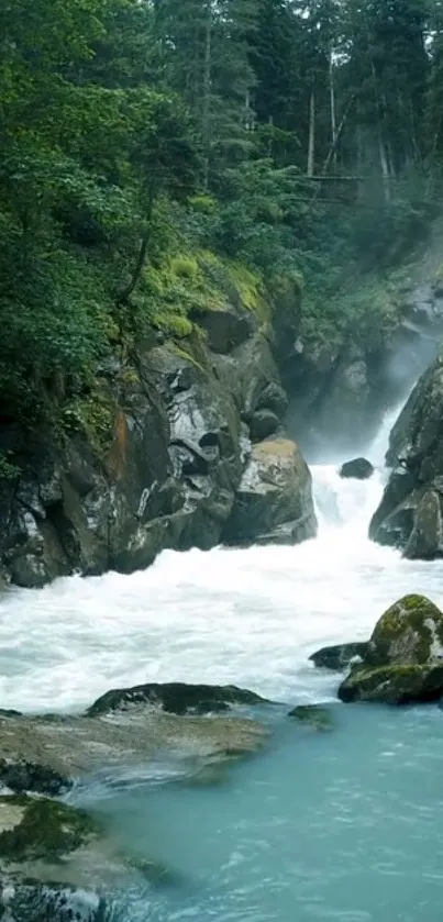 Serene forest waterfall with lush greenery and flowing water.