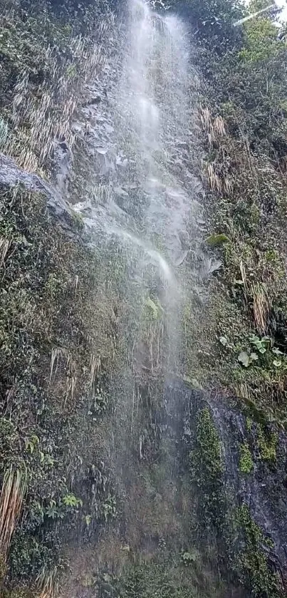 Serene forest waterfall with cascading water and lush greenery.