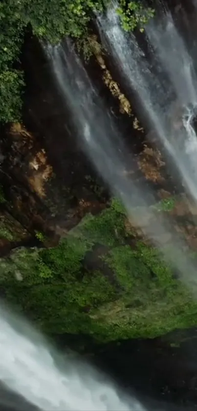 Lush green forest with cascading waterfalls.