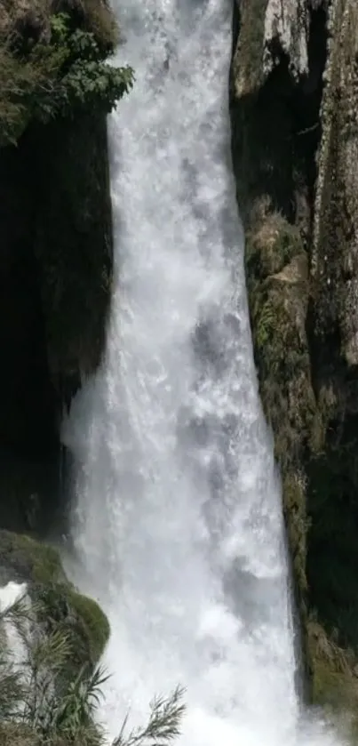 A serene waterfall flowing in a green forest backdrop.