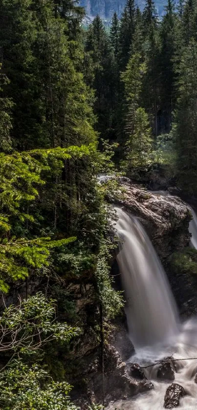 Serene waterfall cascading through lush green forest on a sunny day.