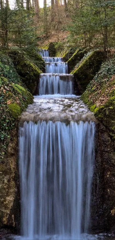 Cascading waterfall in lush green forest, perfect for mobile wallpaper.