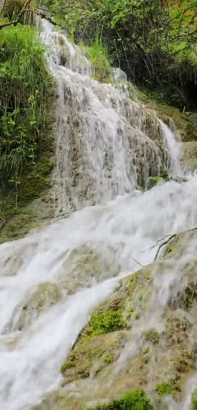 Serene waterfall flowing in lush forest setting, with greenery and cascading water.