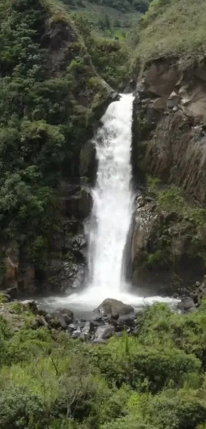 A beautiful waterfall in a forest surrounded by greenery.