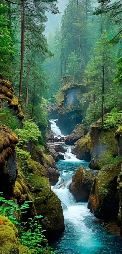 Serene forest waterfall with lush greenery in vibrant natural setting.