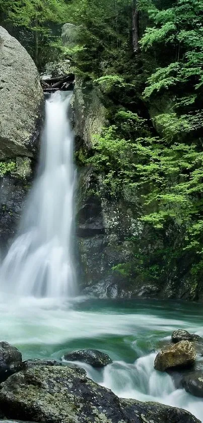 Lush green forest with a beautiful waterfall cascading into a rock pool.