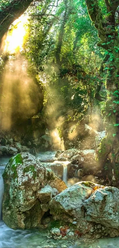 Sunlit forest waterfall with lush green foliage.