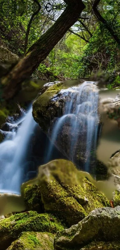 Serene forest waterfall creating a calming natural mobile wallpaper.