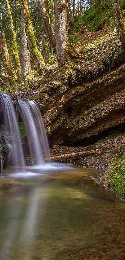 A serene waterfall cascading in a lush green forest.