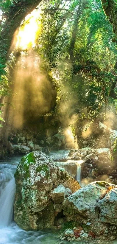 Serene forest scene with waterfall sunlight streaming through trees.