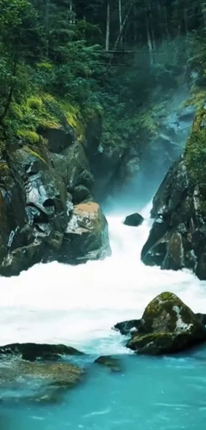 Serene forest waterfall with lush greenery and flowing water.