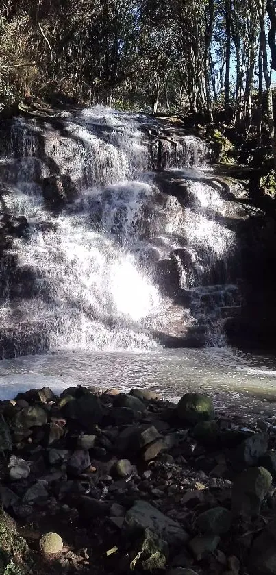 A serene waterfall cascading in a lush green forest under soft sunlight.