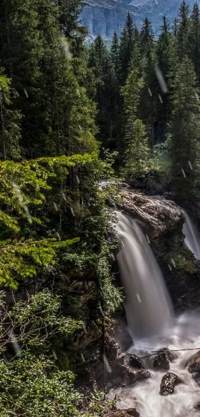Serene waterfall cascading through a lush green forest.