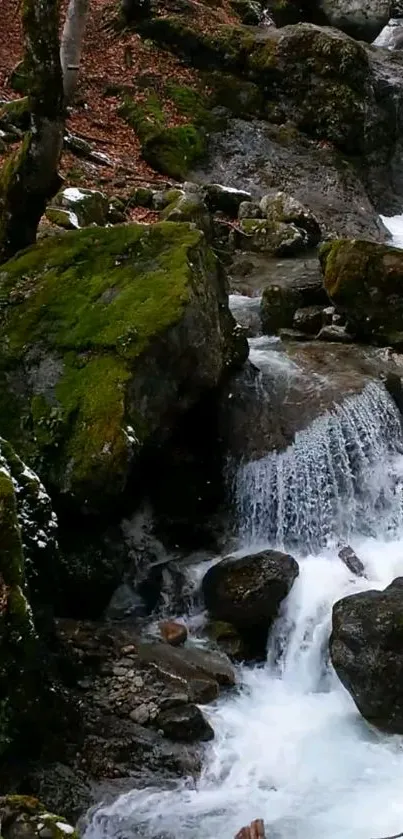 Tranquil forest waterfall with mossy rocks and cascading water.