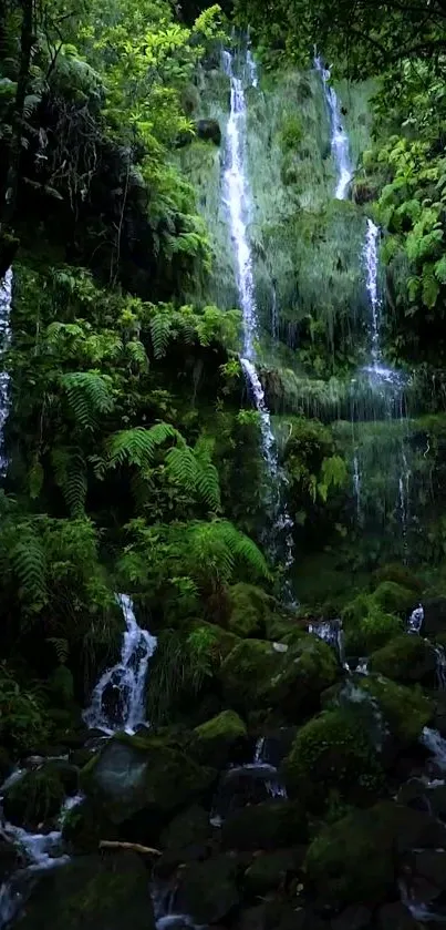 Lush forest with cascading waterfalls, creating a serene and calming ambiance.