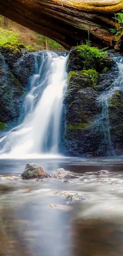 Peaceful forest waterfall with lush greenery and rocks.