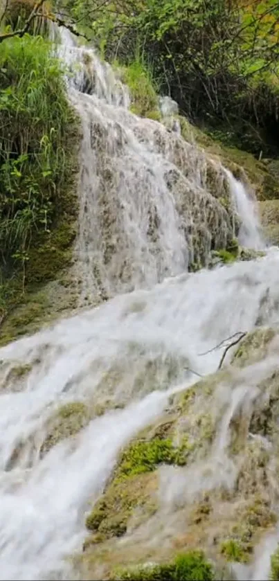 Beautiful forest waterfall with lush greenery creating a serene atmosphere.