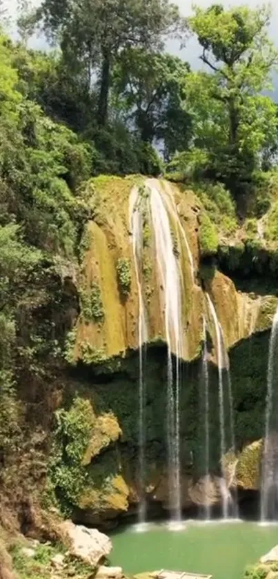 Lush forest waterfall with serene pool and greenery.