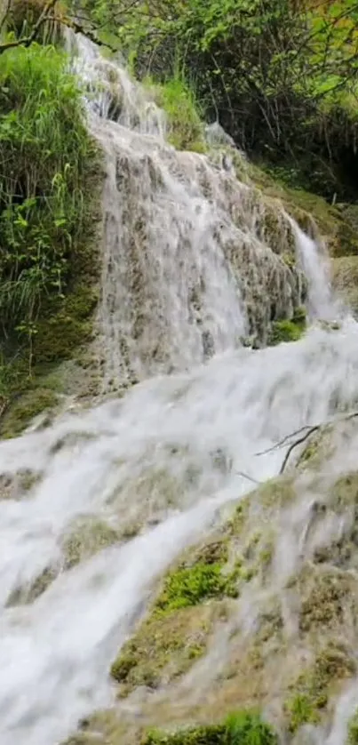 A serene waterfall with lush green surroundings.