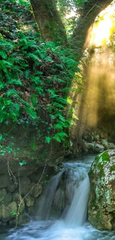 Serene forest waterfall with sunlight and lush greenery.