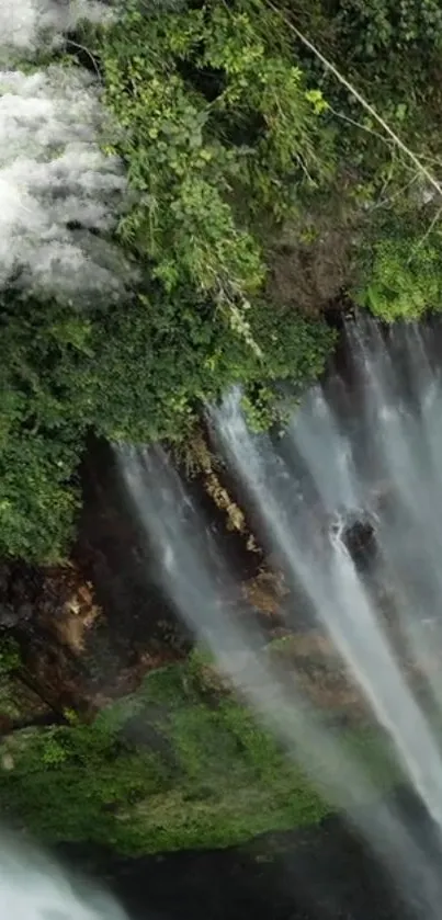 Lush green forest with cascading waterfall and mist.