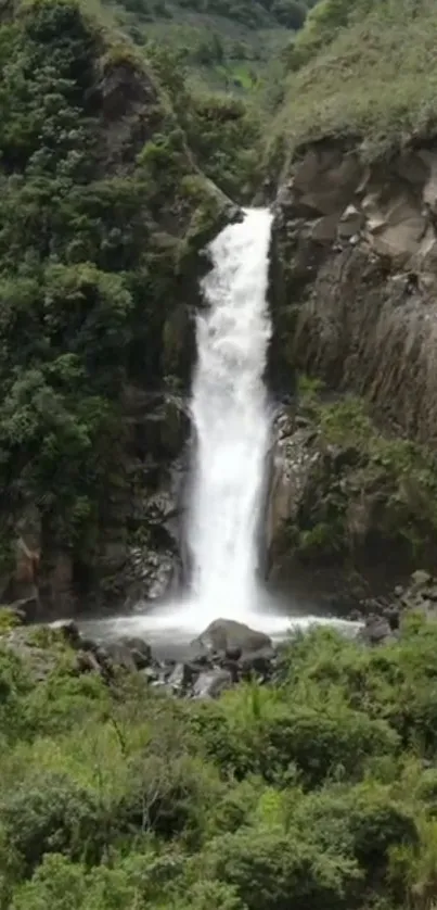 Mobile wallpaper of a serene waterfall in a lush green forest setting.