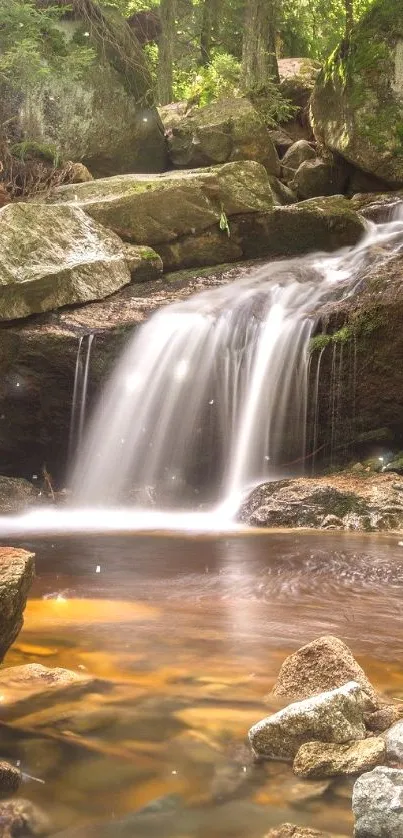 Tranquil waterfall flowing over rocks in a serene forest setting.