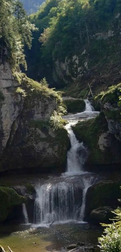 Lush green forest waterfall cascading in serene valley.