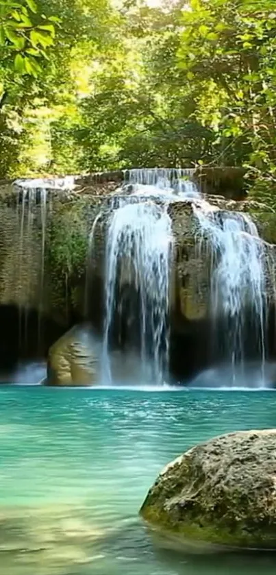 Lush forest waterfall cascading into a crystal clear pool.