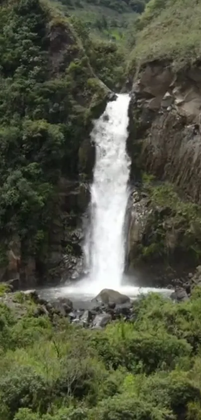 Serene forest waterfall cascading down rocky terrain with lush greenery.