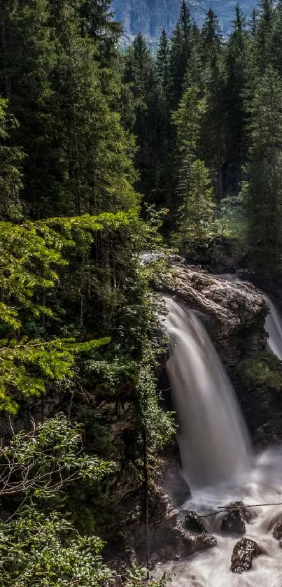 Majestic waterfall flows through a lush green forest.