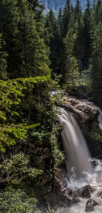 A lush forest waterfall with cascading water surrounded by greenery.