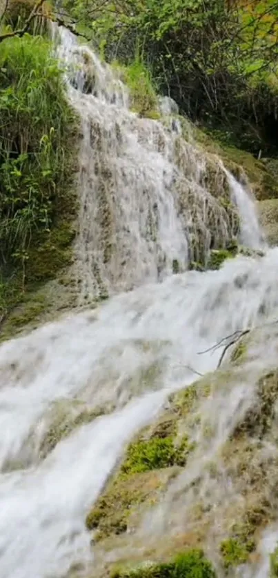 Serene forest waterfall with lush greenery cascading down rocky layers.