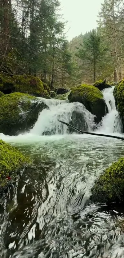 Serene forest waterfall with lush greenery and flowing water.