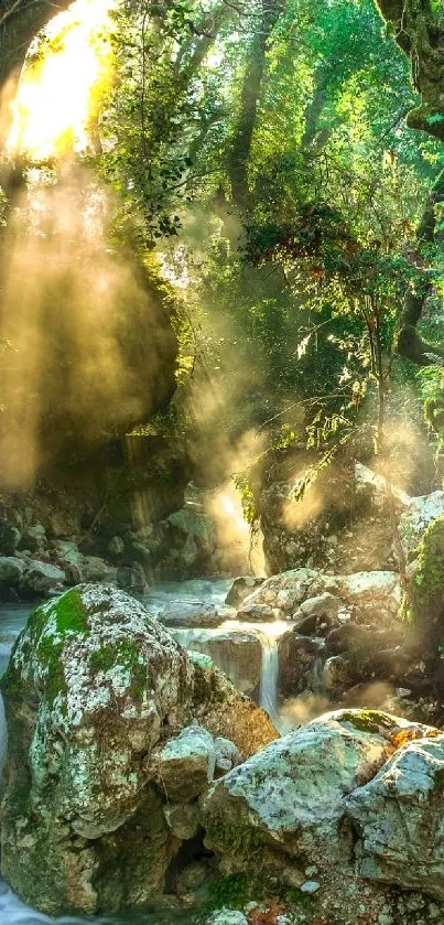 Serene forest waterfall with sunbeams streaming through lush green foliage.