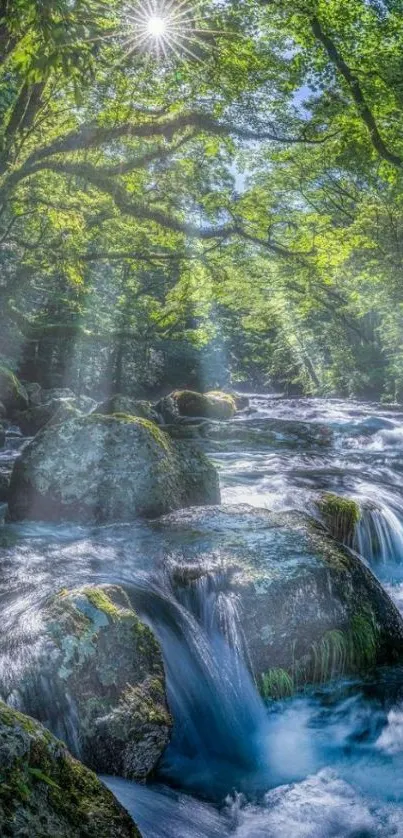 Serene forest waterfall with lush greenery and flowing water under sunlight.