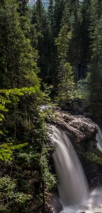 Peaceful forest waterfall mobile wallpaper.