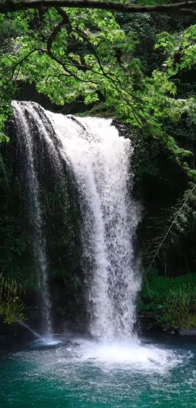 A serene waterfall in a lush forest setting, perfect for mobile wallpaper.